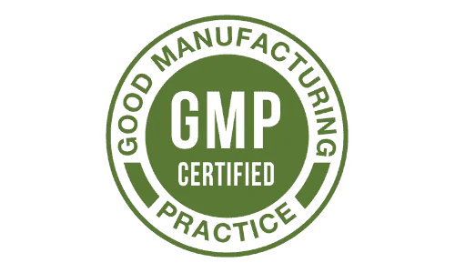 Java Brain Coffee GMP Certified